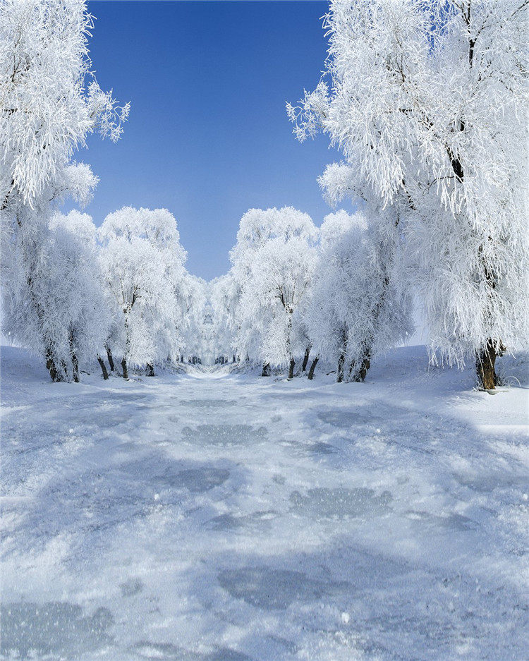 影楼拍摄背景布儿童拍照摄影自拍主播直播雪山雪地雪景外景背景纸