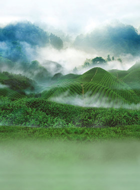 云海油画布背景布摄影影楼拍摄道具梯田绿色山复古喷绘背景仿手绘工笔画色彩影棚艺术写真背景布幕布