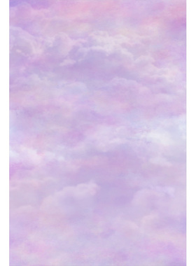 2024新款背景纸影棚宝贝宝宝紫色无缝布帆布定制影楼摄影背景布大尺寸周岁百天幕布梦幻主播背景布MH-0718