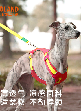 ZOOLAND狗狗胸背牵引绳工字遛狗小中大型犬防爆冲挣脱宠物牵狗绳