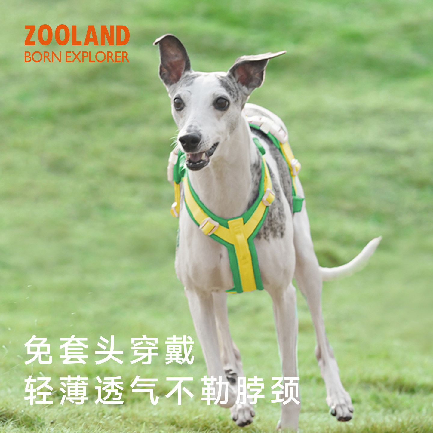 ZOOLAND宠物狗狗牵引绳工字型胸背带防爆冲幼小中大型犬遛狗绳子