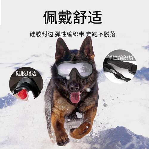 西高地犬专用防风防晒护目镜