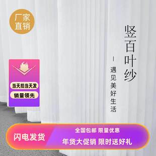 魔术贴免打孔抖音爆款竖百叶梦幻窗纱纱帘透光不透人客厅阳台纱帘