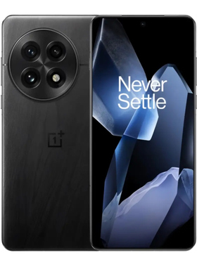 OnePlus/一加 一加 13     12+256
