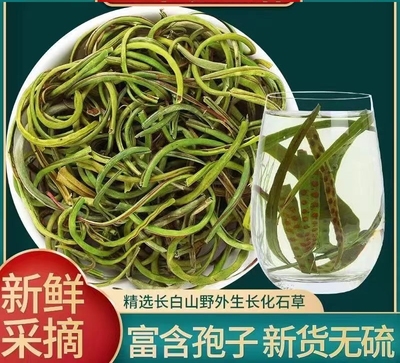 黄金草嗷嗷叫东北长白山正品肾精茶店官方旗舰泡水喝养生茶新货