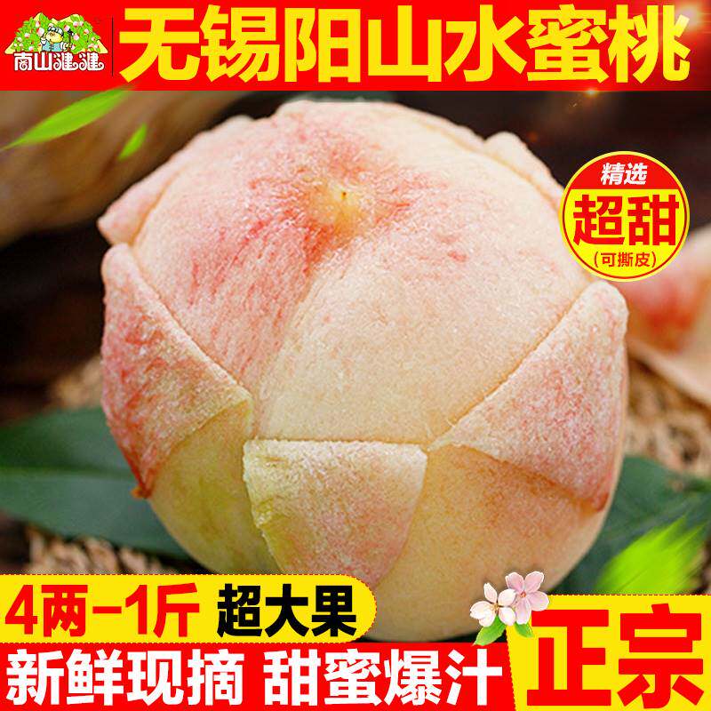 正宗无锡阳山水蜜桃新鲜水果整箱果园直发当季时令白凤孕妇软桃子
