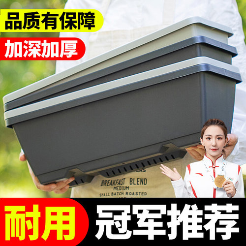 家庭种菜神器种菜盆塑料