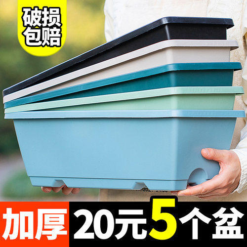 长方形种菜盆阳台种菜塑料