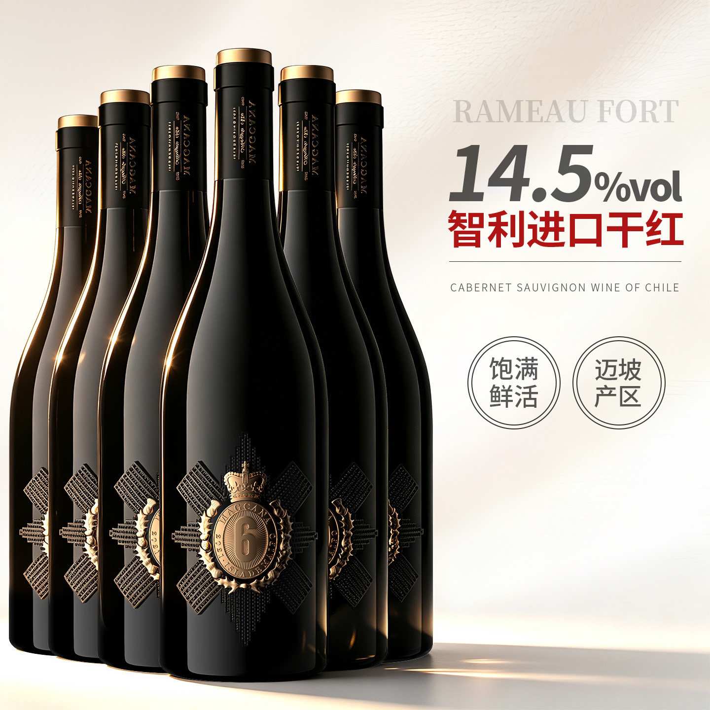 智利玛格卡纳魔幻6号干红整箱