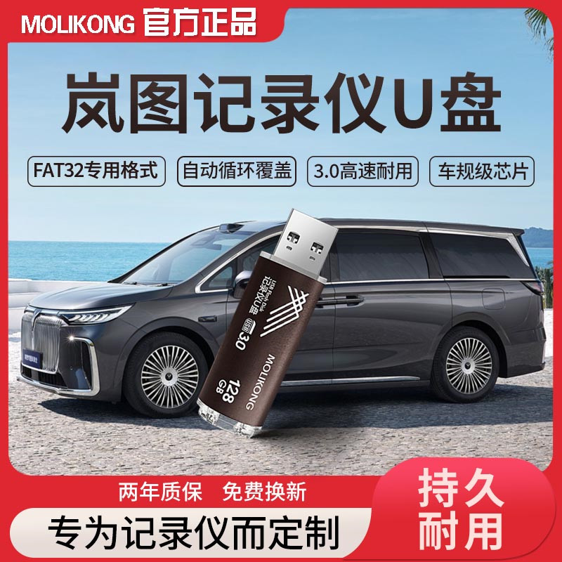 适用岚图行车记录仪U盘哨兵专用