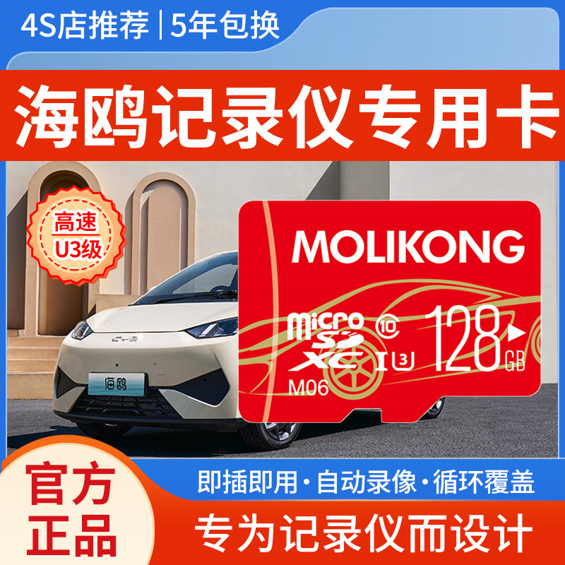 比亚迪海鸥记录仪存储卡全系适配