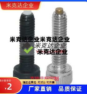 L30螺丝TDA01/06/11-21/26/M3/M4/M5/M6/M8带挡块L10/L20