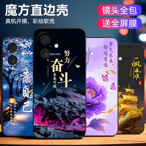 适用于苹果17高清彩绘手机保护壳