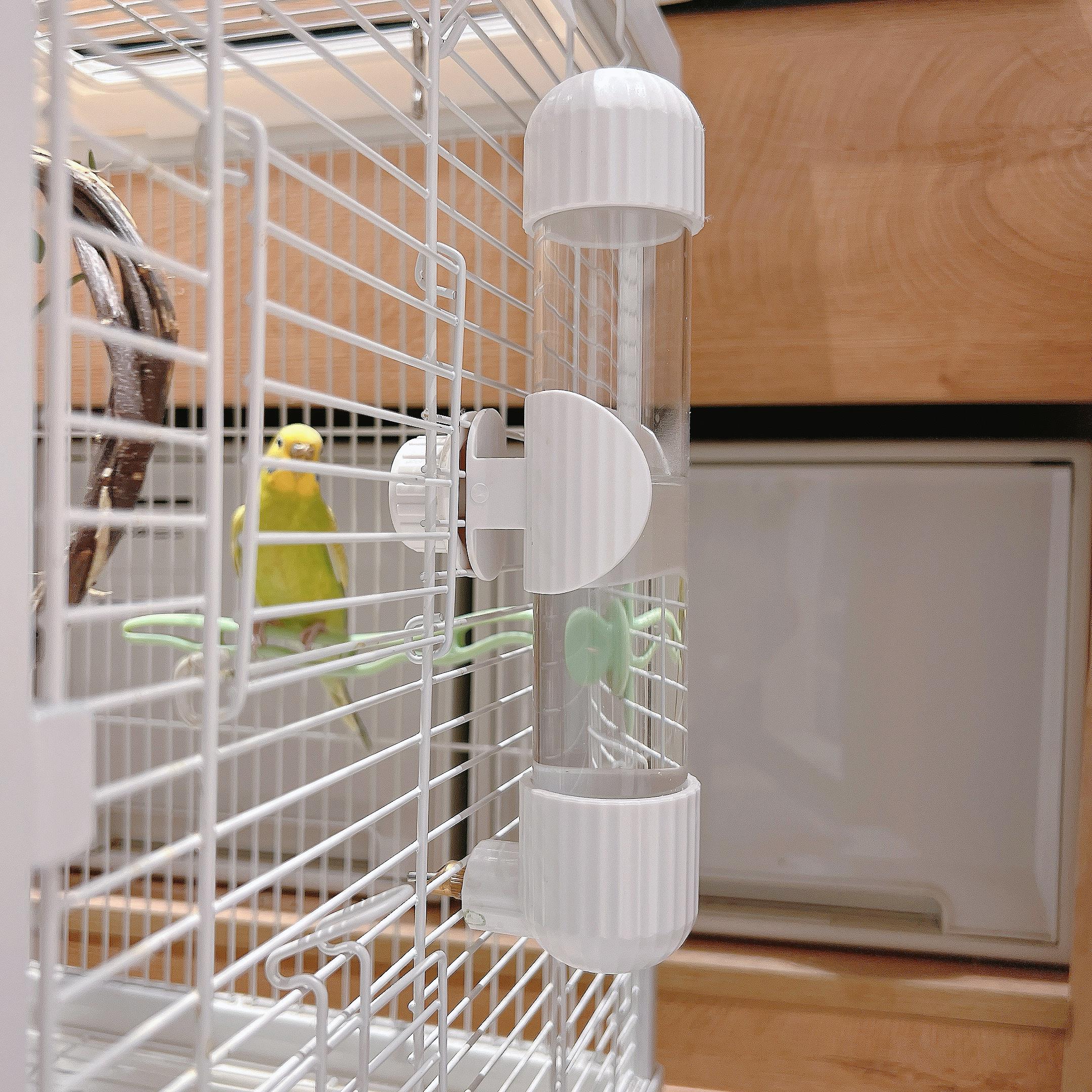 鸟用饮水器鸟喝水大中小型鹦鹉撞针水壶玄凤芦丁鸡自动喂水器牡丹