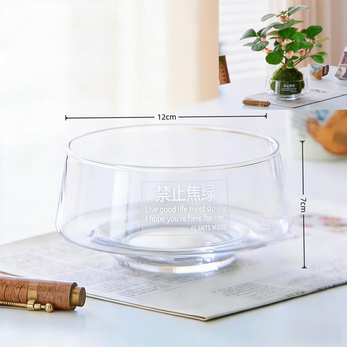 苔藓球托盘无孔玻璃瓶陶瓷托盘