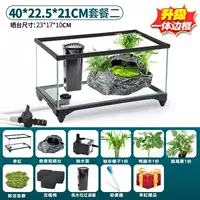 Бак 40 см [Пакет 2] Двухпоточная водная терраса