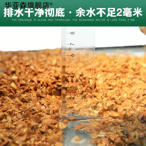 Арочная черепаха Экологическое цилиндровое солнце