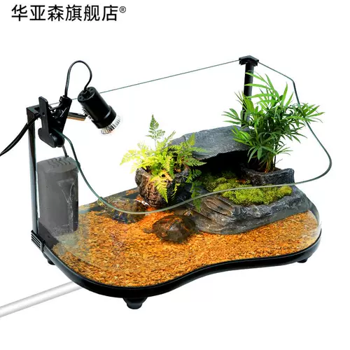 Арочная черепаха Экологическое цилиндровое солнце