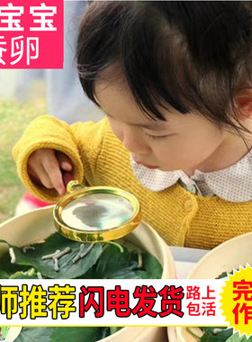 蚕宝宝活物春蚕卵种籽子和桑叶天然七彩色饲养箱学生养蚕套装别墅