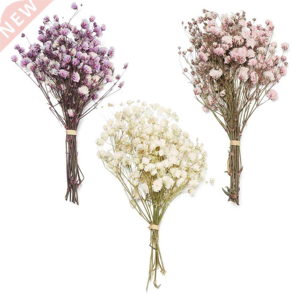 mini colorful natural real flower babysbreath natural fresh