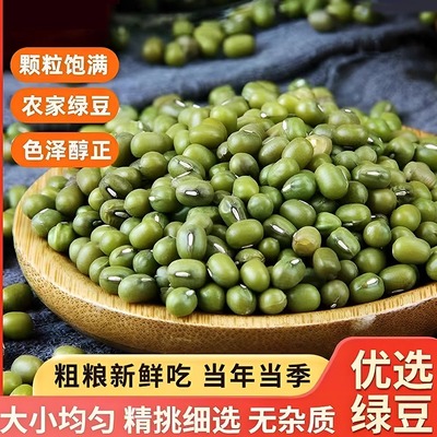 新货绿豆农家自产颗粒饱满可发芽易煮易开花出沙熬绿豆粥冰沙糕