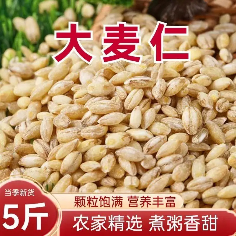 新粮去皮大麦仁颗粒饱满