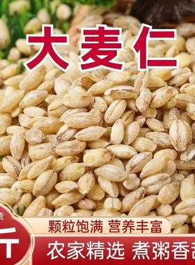 新粮去皮大麦仁农家精选大麦仁5斤装颗粒饱满营养丰富煮粥香甜
