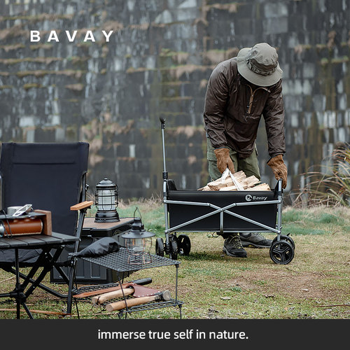 Bavay家用购物买菜取快递小推车