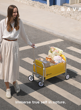 Bavay/北欢YOLA购物车铝合金折叠推车户外买菜小拉车家用露营Y11