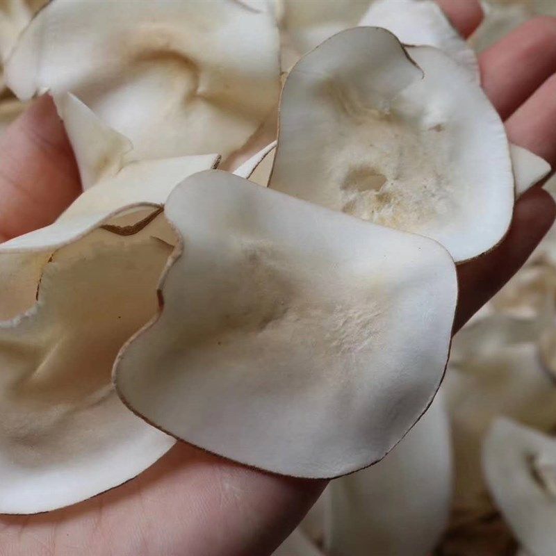 新干货,海椰片,泰国特产,海椰汤,广东炖汤,食用X食品500g