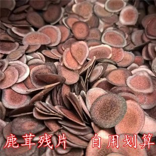 东北长白山吉林鹿茸残片鹿角血片干货红粉片L泡酒煲汤泡水打粉10