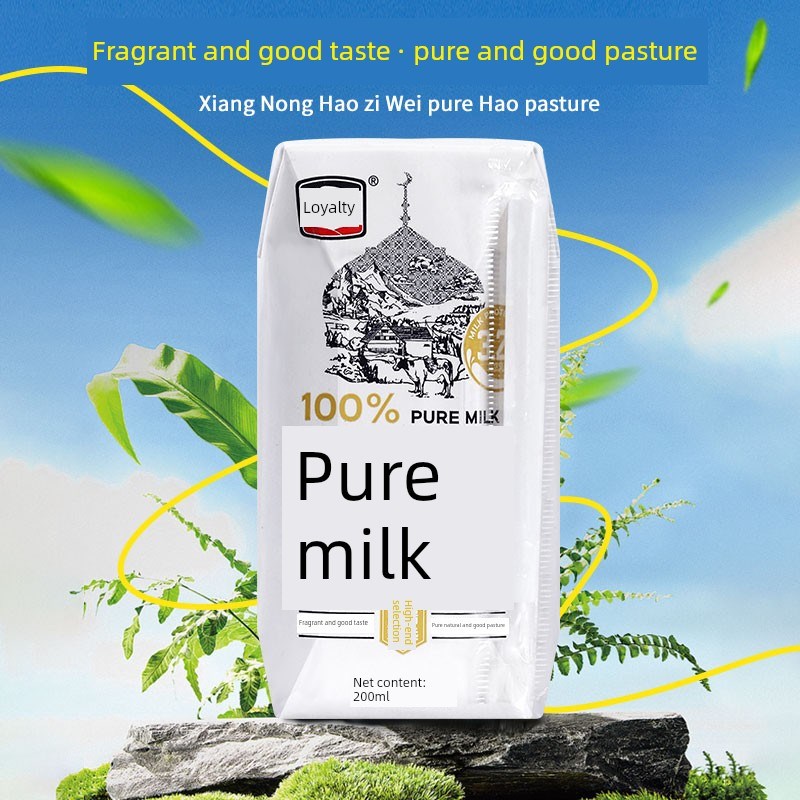中育纯牛奶200ml*6盒B无添加剂儿童学生和成人牛奶