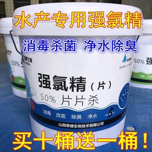 强氯精水产养殖消毒杀菌净水除臭改底鱼塘虾蟹池三氯异氰尿酸片粉