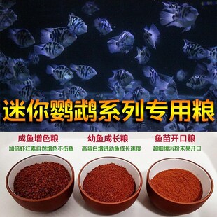 迷你鹦鹉鱼粮增色饲料鱼苗开口粮沉水小颗粒小型鱼热带鱼幼鱼食