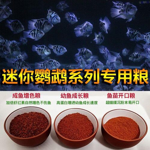 迷你鹦鹉鱼粮增色饲料鱼苗开口粮沉水小颗粒小型鱼热带鱼幼鱼食