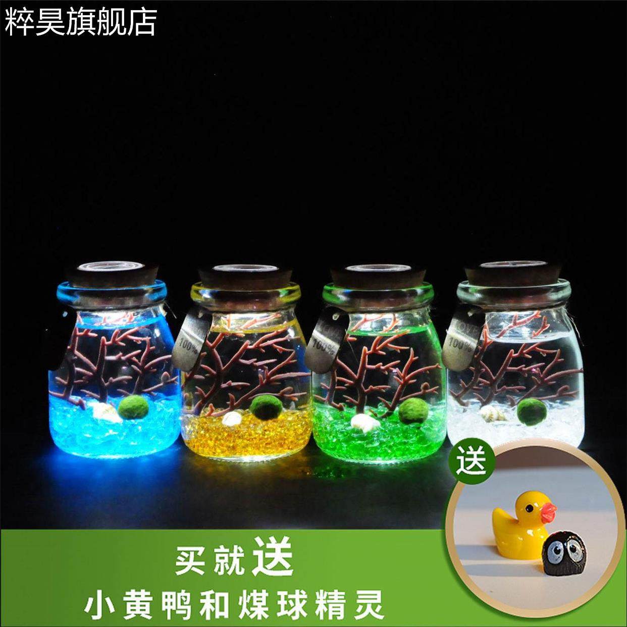 包邮海藻球玻璃生态瓶微景观带灯迷你鱼缸创意植物盆栽生日礼物