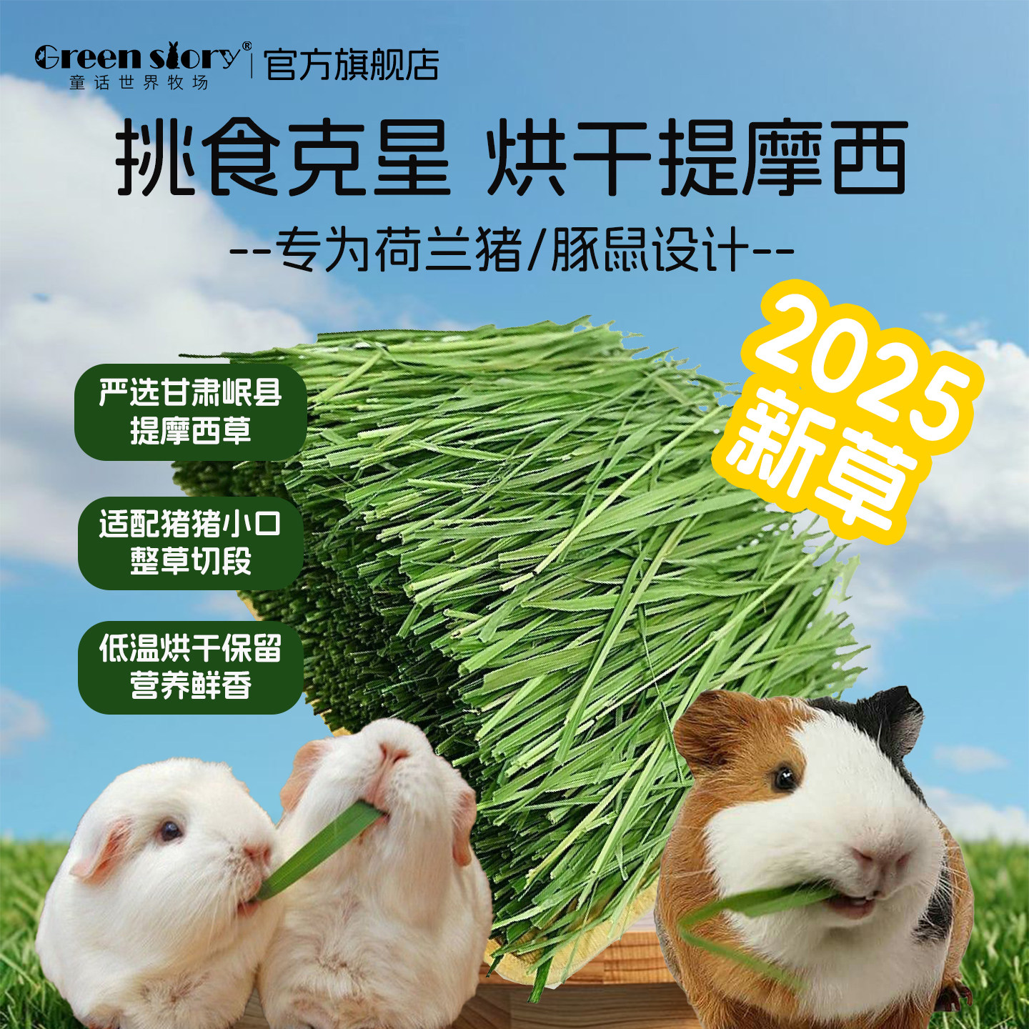 新烘干提摩西草荷兰猪侏儒兔专用苜蓿干草北提草段宠物粮豚鼠饲料,宠物/宠物食品及用品,兔兔其他,淘宝优惠券,粉丝福利购,淘宝优惠卷
