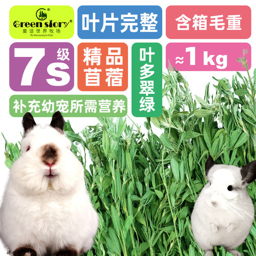 童话世界牧场苜蓿草香嫩脆适口性