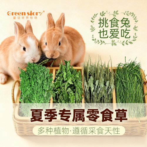 夏季兔子荷兰猪零食草
