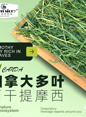 提摩西晒干草兔子专用荷兰猪龙猫食用牧草小宠进口草段豚鼠草料