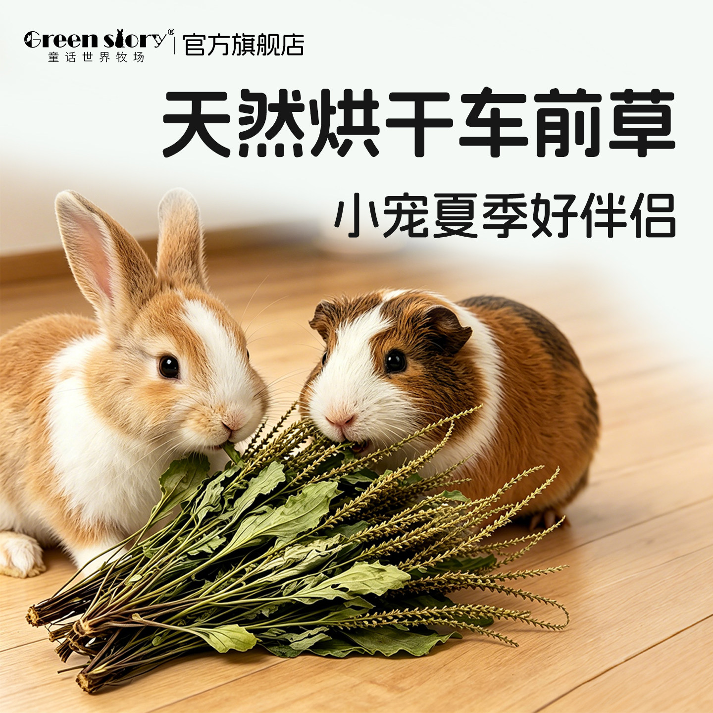 小宠物兔子烘干车前草龙猫荷兰猪专用夏季常备辅食草豚鼠零食草段