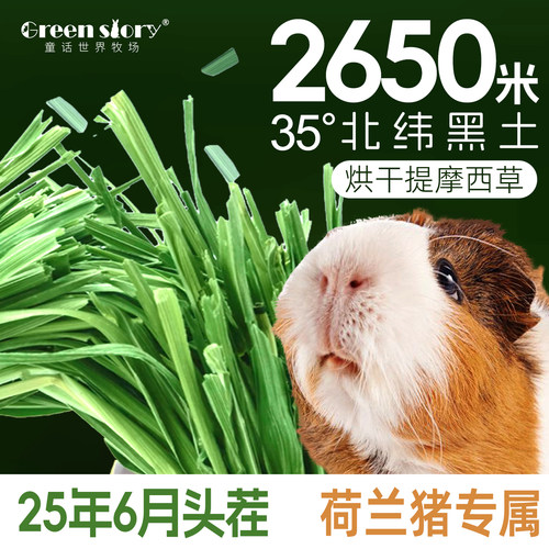 岷县头茬提摩西烘干草荷兰猪专用