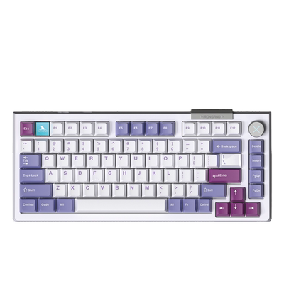 达摩鲨TTC飞鲨轴三模无线键盘