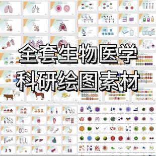 ppt科研绘图素材全套生物医学可编辑插图细胞流程图通路图AI模型