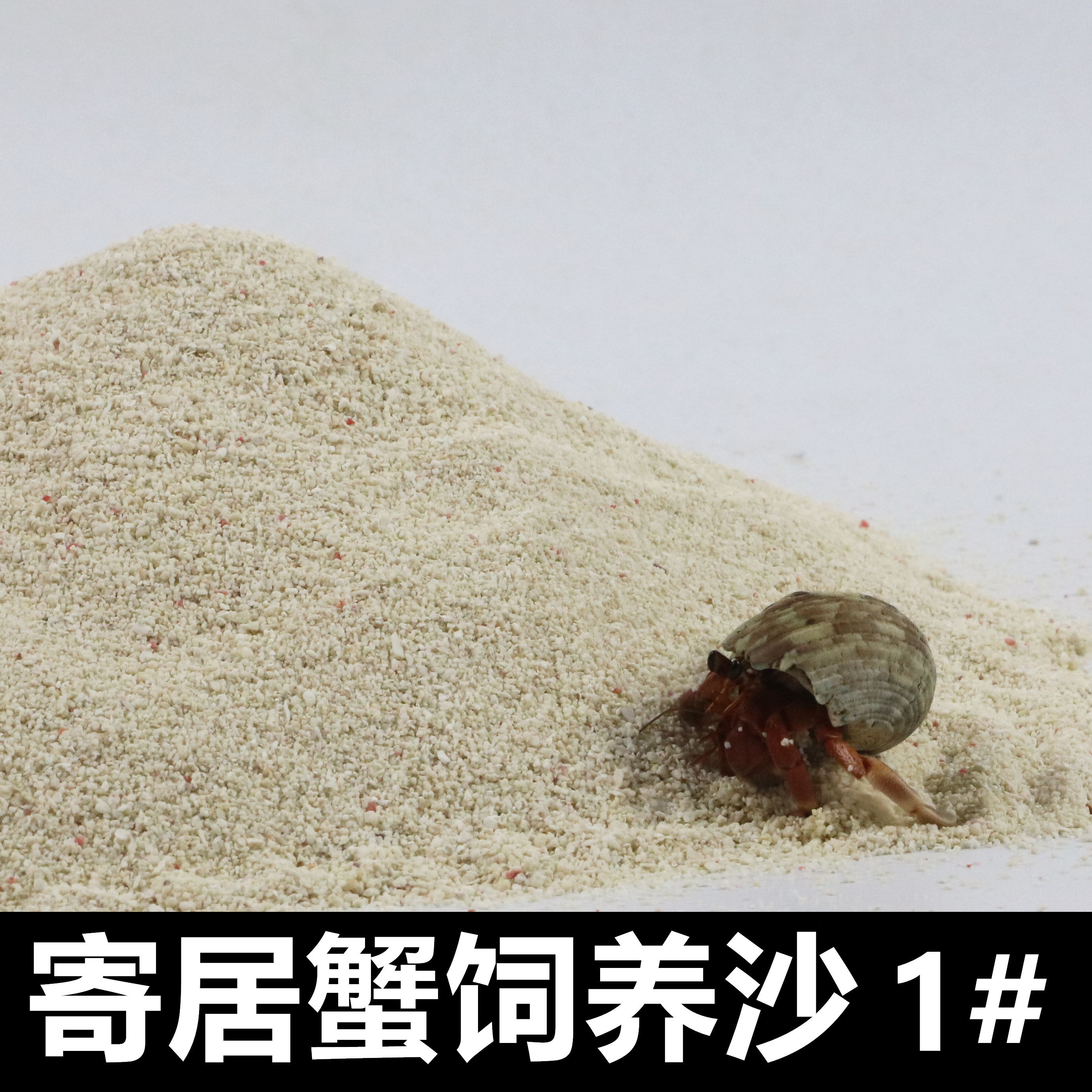 寄居蟹专用饲养沙菲律宾沙珊瑚沙垫材三湖慈鲷鱼鱼缸造景海沙