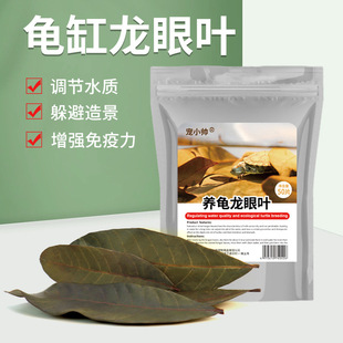 鱼缸龟缸生态植物造景养龟免煮龙眼叶干腐皮烂甲调节水质乌龟躲避