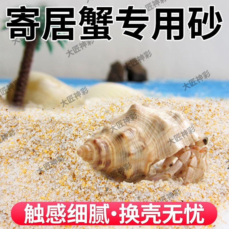 免洗海沙寄居蟹专用沙爬虫用具鱼缸底砂造景水草螃蟹底沙石纯天然