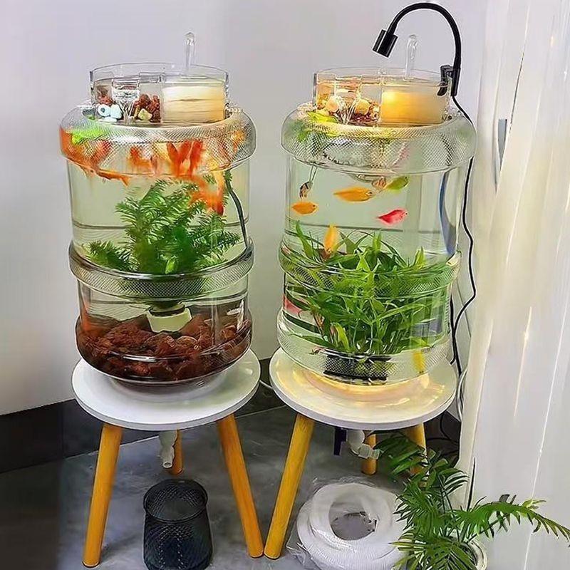 水桶养鱼创意透明鱼缸矿泉水改造生态自制饮水机缸斗鱼饮水机养鱼图片