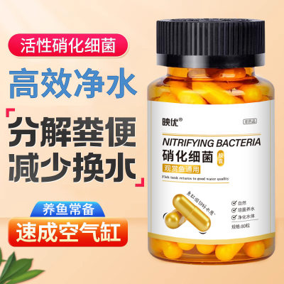 硝化细菌鱼缸专用净水剂胶囊消化细菌活菌干粉养鱼水族水质稳定剂