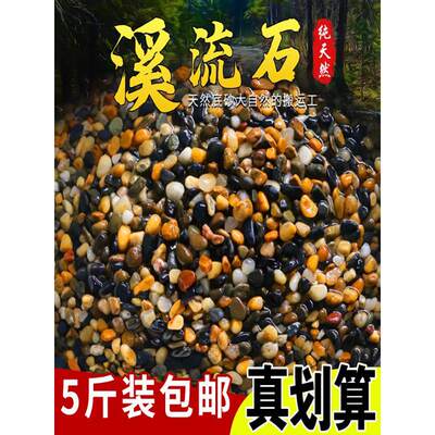 鱼缸造景装饰底砂沙石头子铺底天然原生溪流乌龟缸石水族箱10斤装